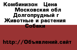 Комбинизон › Цена ­ 1 000 - Московская обл., Долгопрудный г. Животные и растения » Собаки   